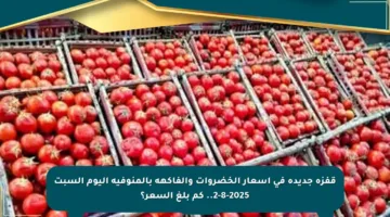 قفزة جديدة في أسعار الخضروات والفاكهة بالمنوفية اليوم السبت 2-8-2025.. كم بلغ السعر؟
